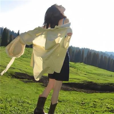 人龙传说粤语