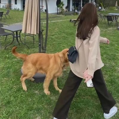 我们遇上松花湖